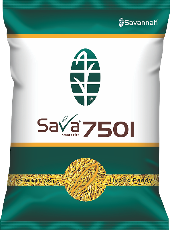 Sava 7501 Hybrid Paddy